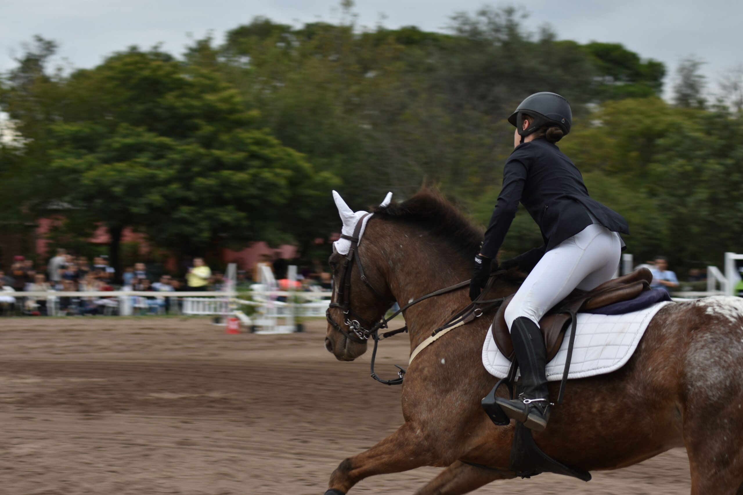Focused rider competing on a well-trained horse during a show