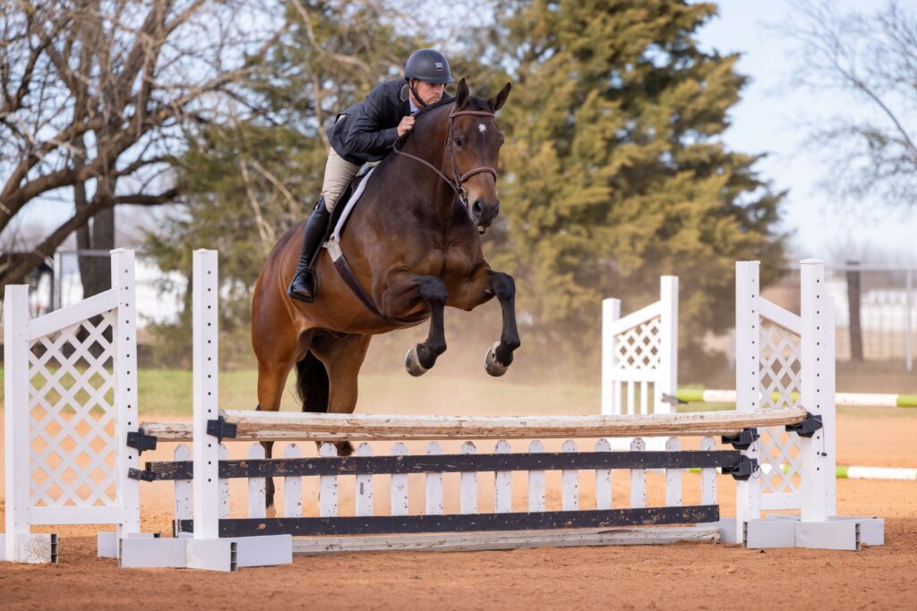 horse and rider clearing vertical jump in outdoor arena during training session, showing athletic form and focused approach, hunter jumper horses for sale